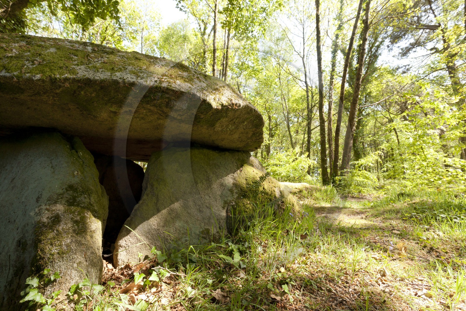 Dolmen de Lesvariel _ Guidel Dolmen de Lesvariel _ Guidel