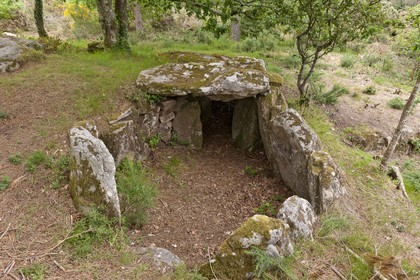 Le dolmen de Mane Bras _ la Trinite sur mer.