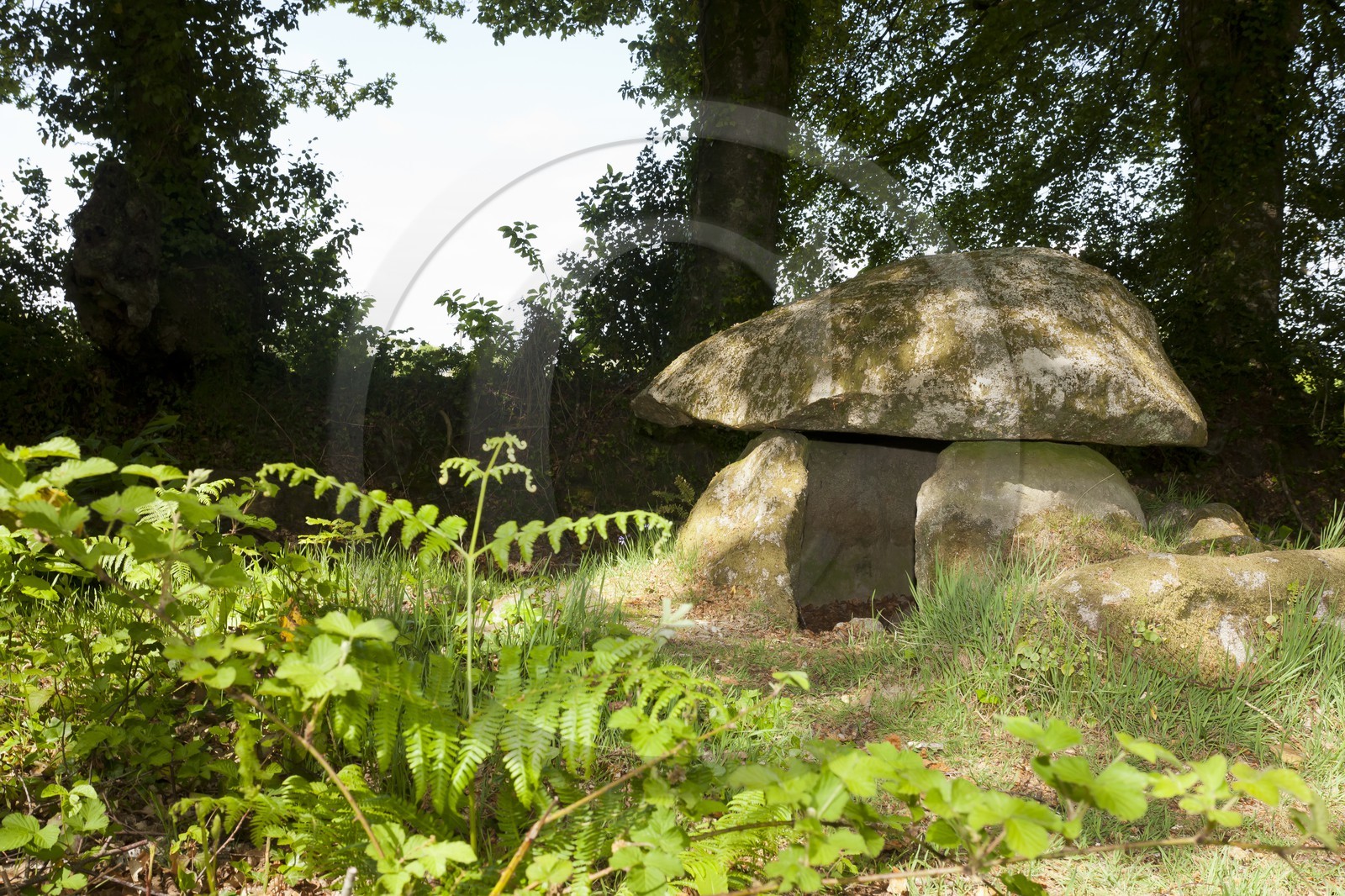 Dolmen de Lesvariel _ Guidel Dolmen de Lesvariel _ Guidel