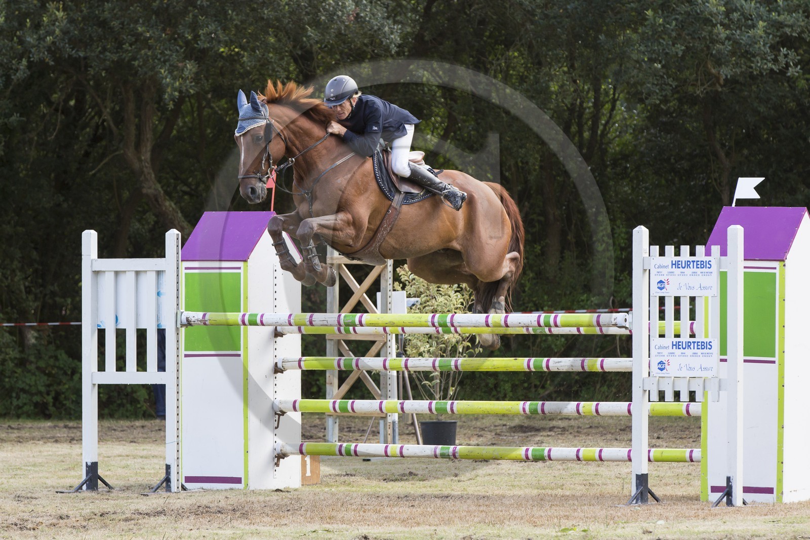 concours equestre _ la Trinite sur Mer ( 56 ) concours equestre _ la Trinite sur Mer ( 56 )