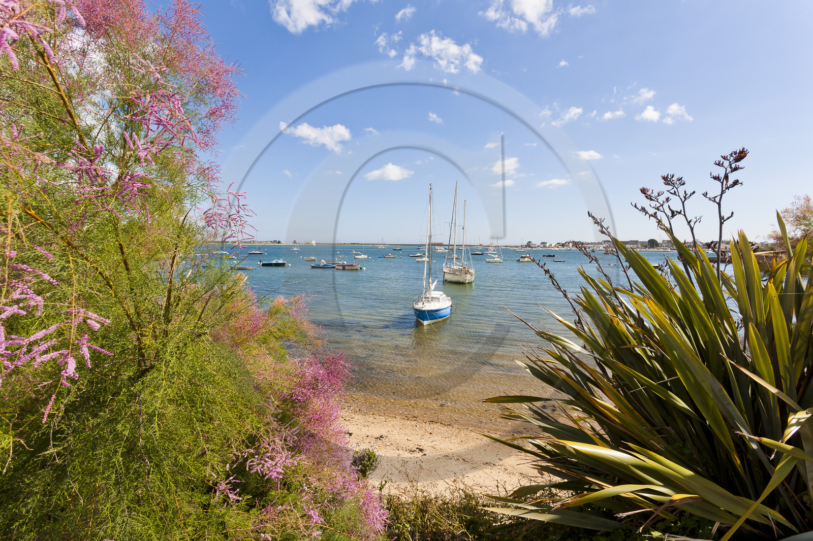 Port de Locmalo _ Port-Louis Port de Locmalo _ Port-Louis