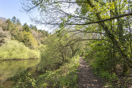 Landscape along the Scorff. Pont-Scorff