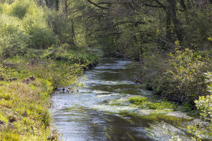 The Argent river in Huelgoat
