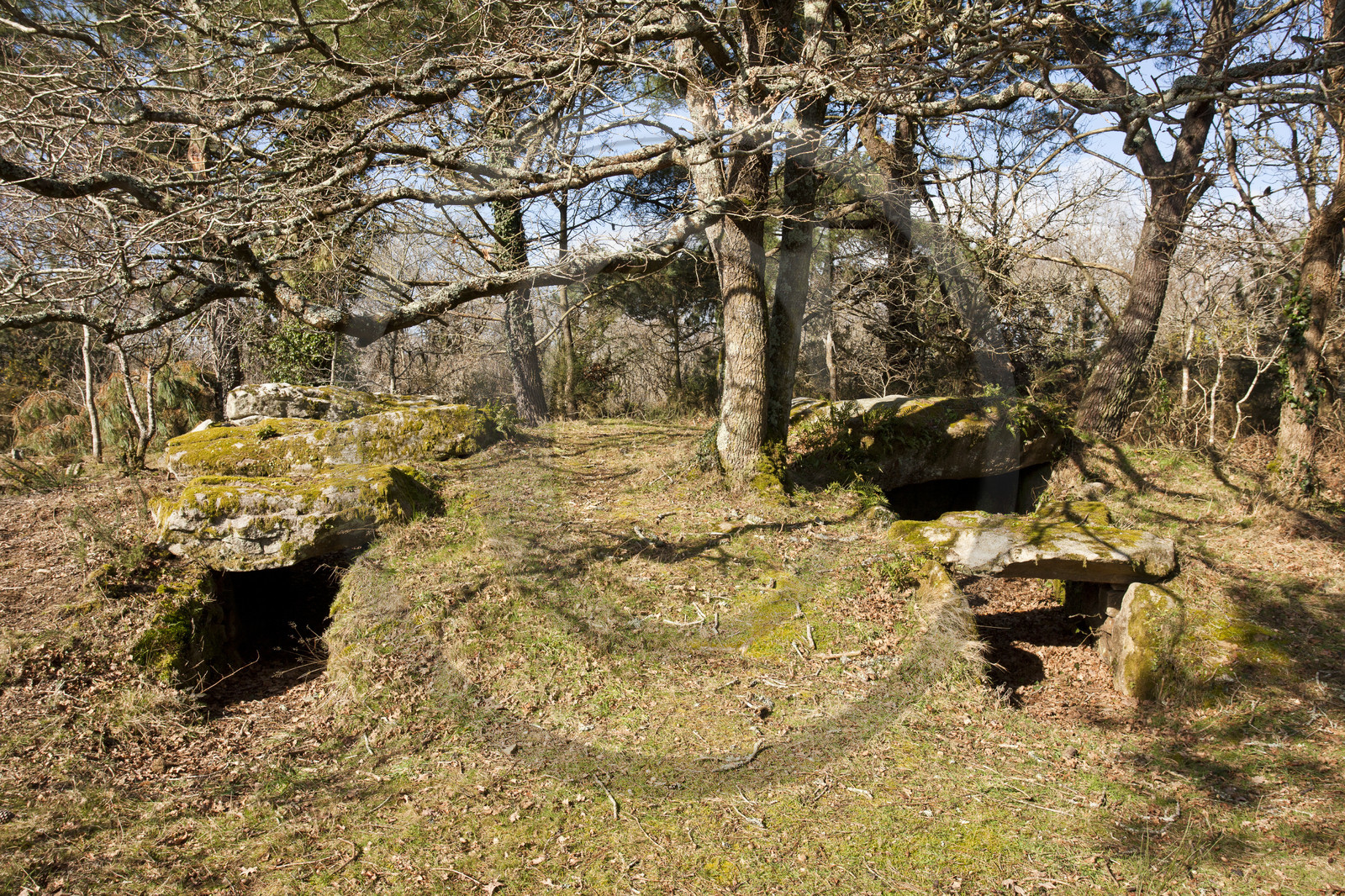 Dolmen de kervilor mane bras. La Trinite su Mer.