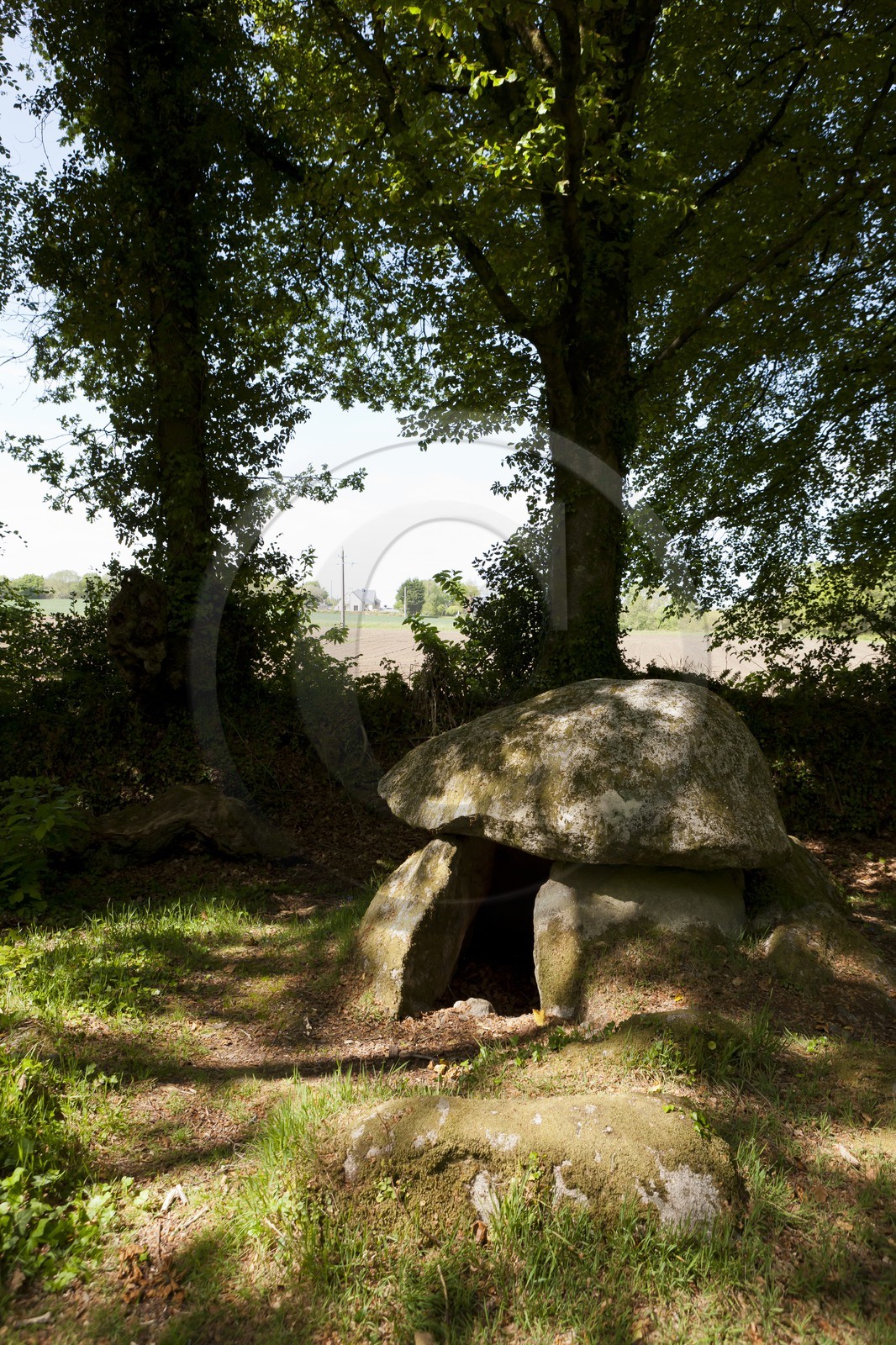 Dolmen de Lesvariel _ Guidel Dolmen de Lesvariel _ Guidel