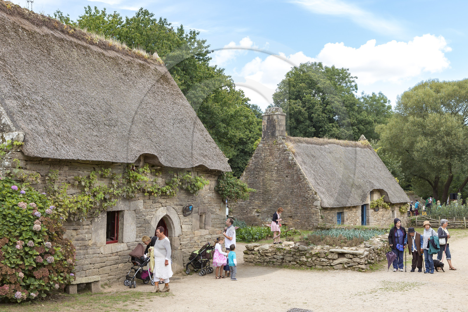 2016, Cider Festival in the village of Poul Fetan. Quistinic in the Morbihan 2016, Cider Festival in the village of Poul Fetan. Quistinic in the Morbihan