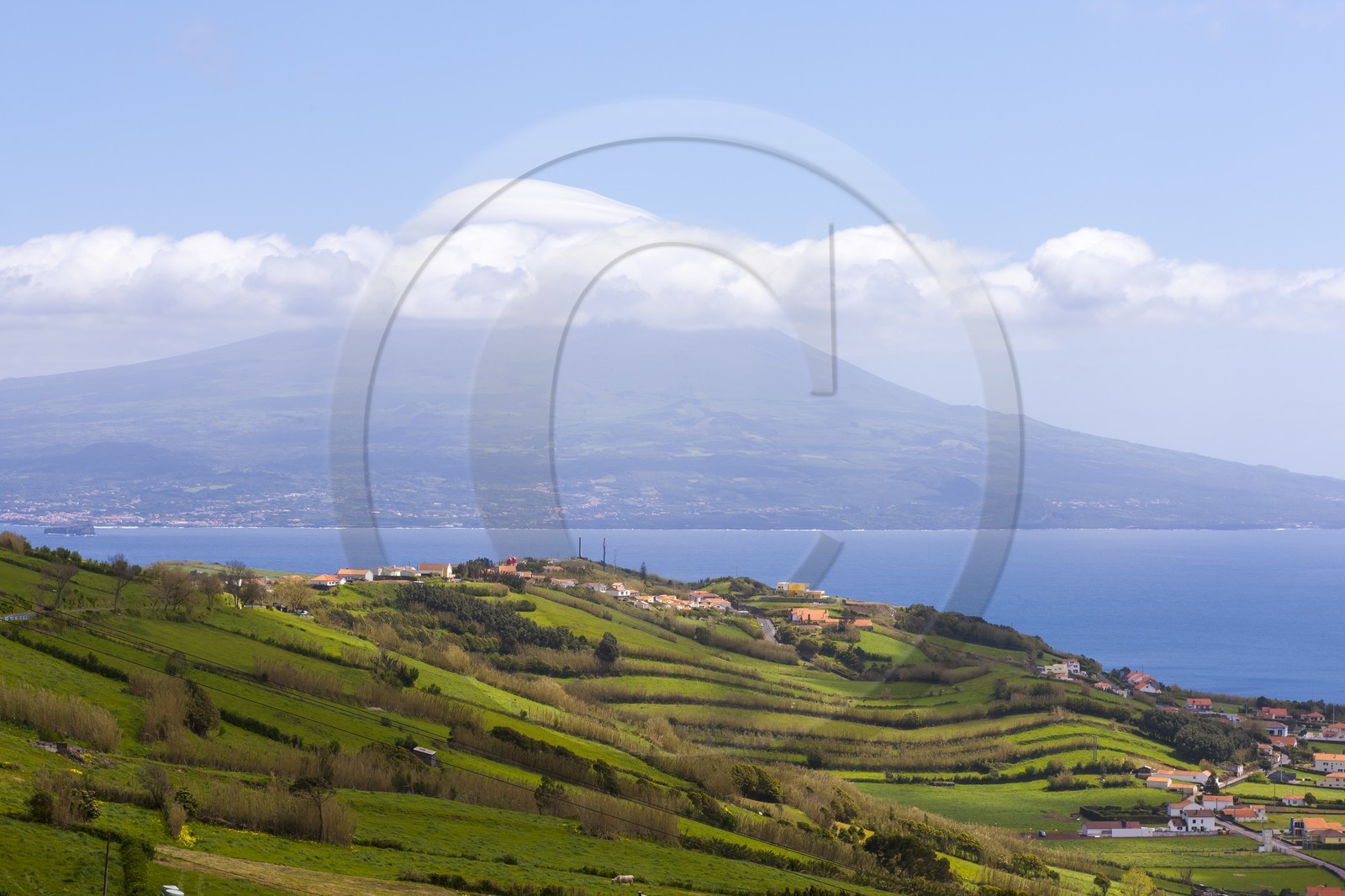 Île de Faial _ Archipel des Açores