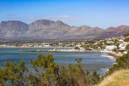 Gordon's bay _ Afrique du Sud