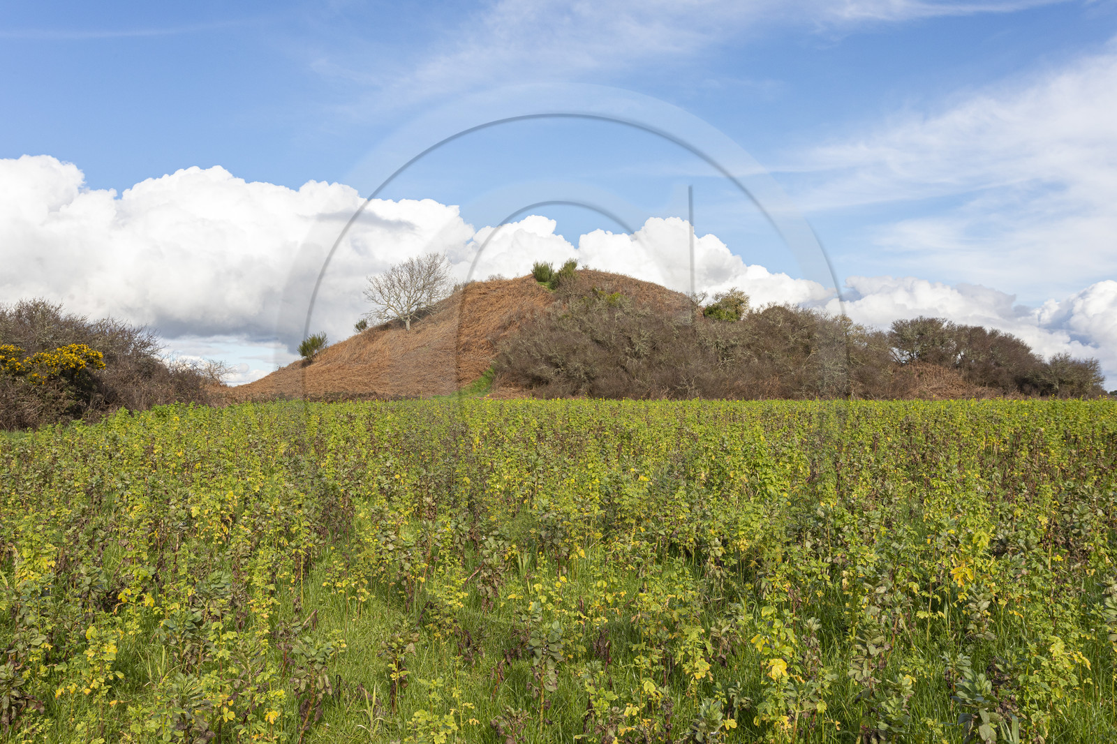 Tumulus de Tumiac à Arzon