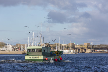 Bateau de pêche  Le Belladone  dans la rade de Lorient