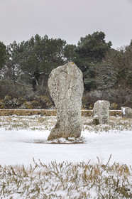 20210211_Carnac_19A8044.jpg