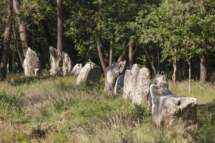 Alignements du Petit Menec _ La Trinite sur Mer