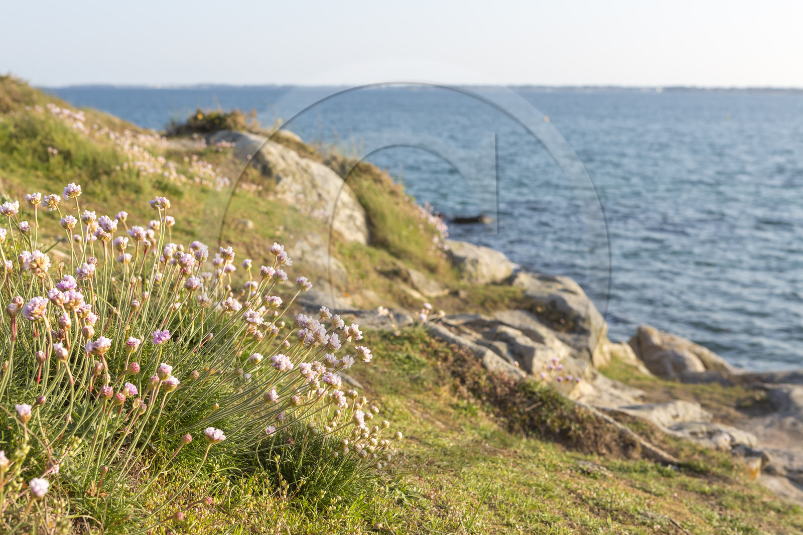 littoral de carnac