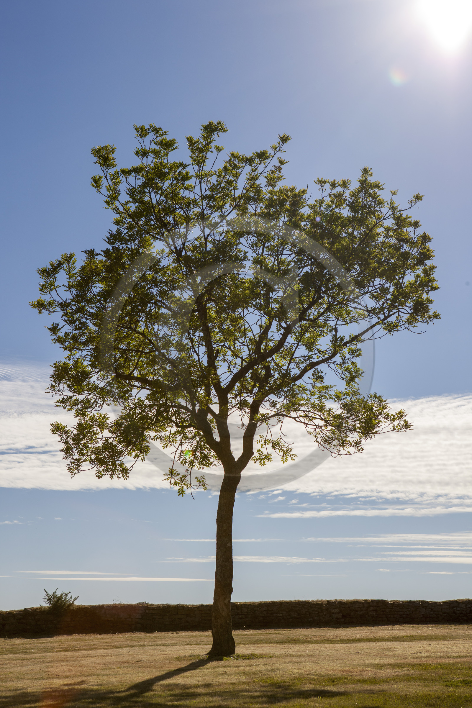 Au alentour de la chapelle St Barbe au Faouet.