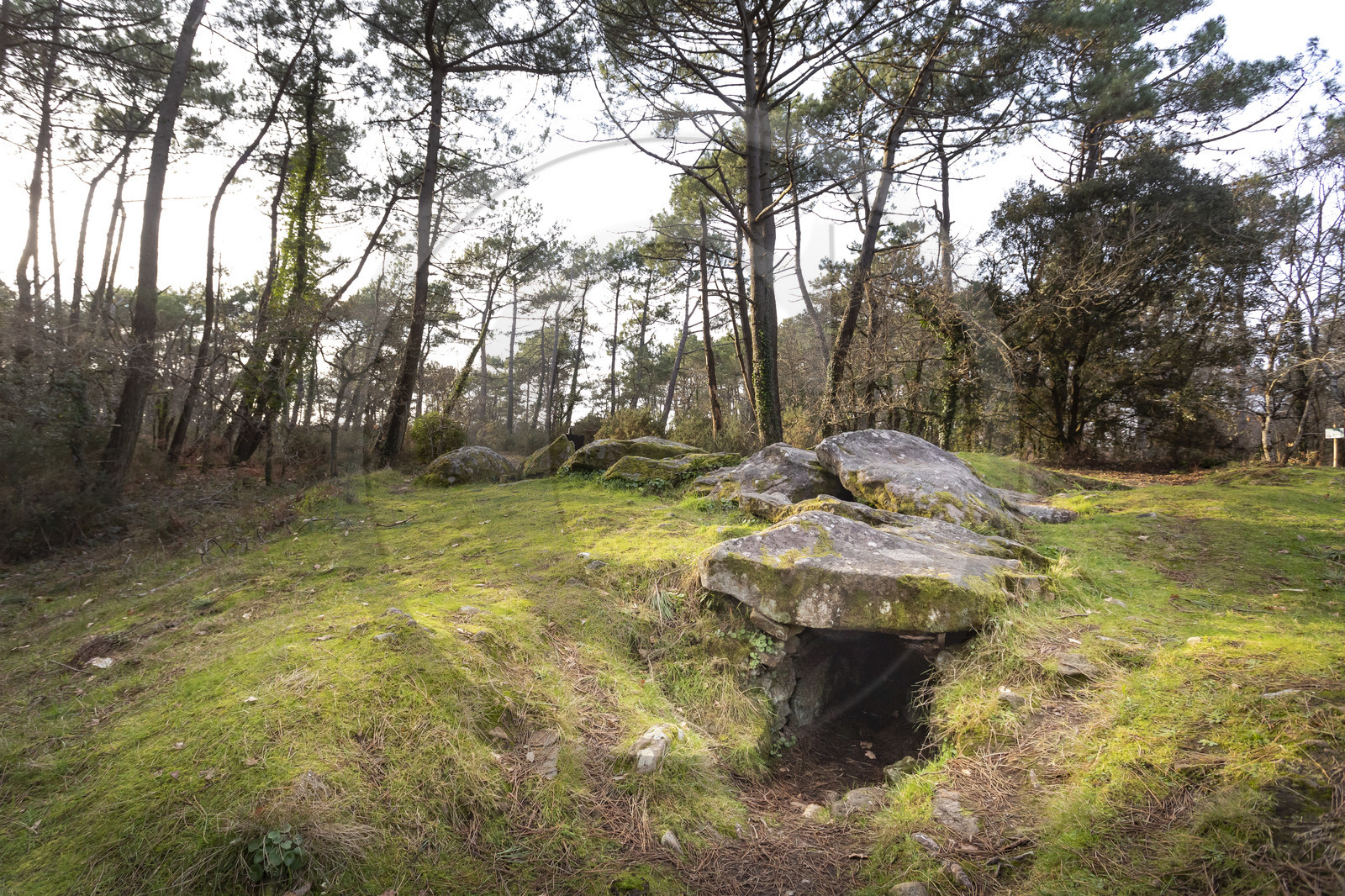 The Mané-Ven-Guen or Toulvern dolmen located in Baden