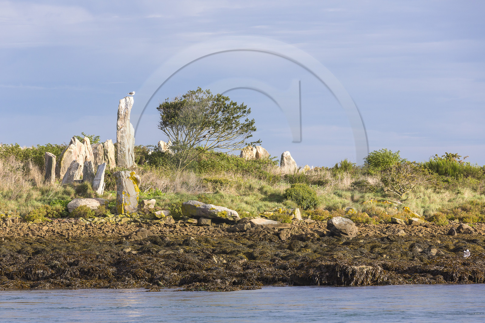 Er Lannic dans le golfe du Morbihan à Arzon Er Lannic dans le golfe du Morbihan à Arzon