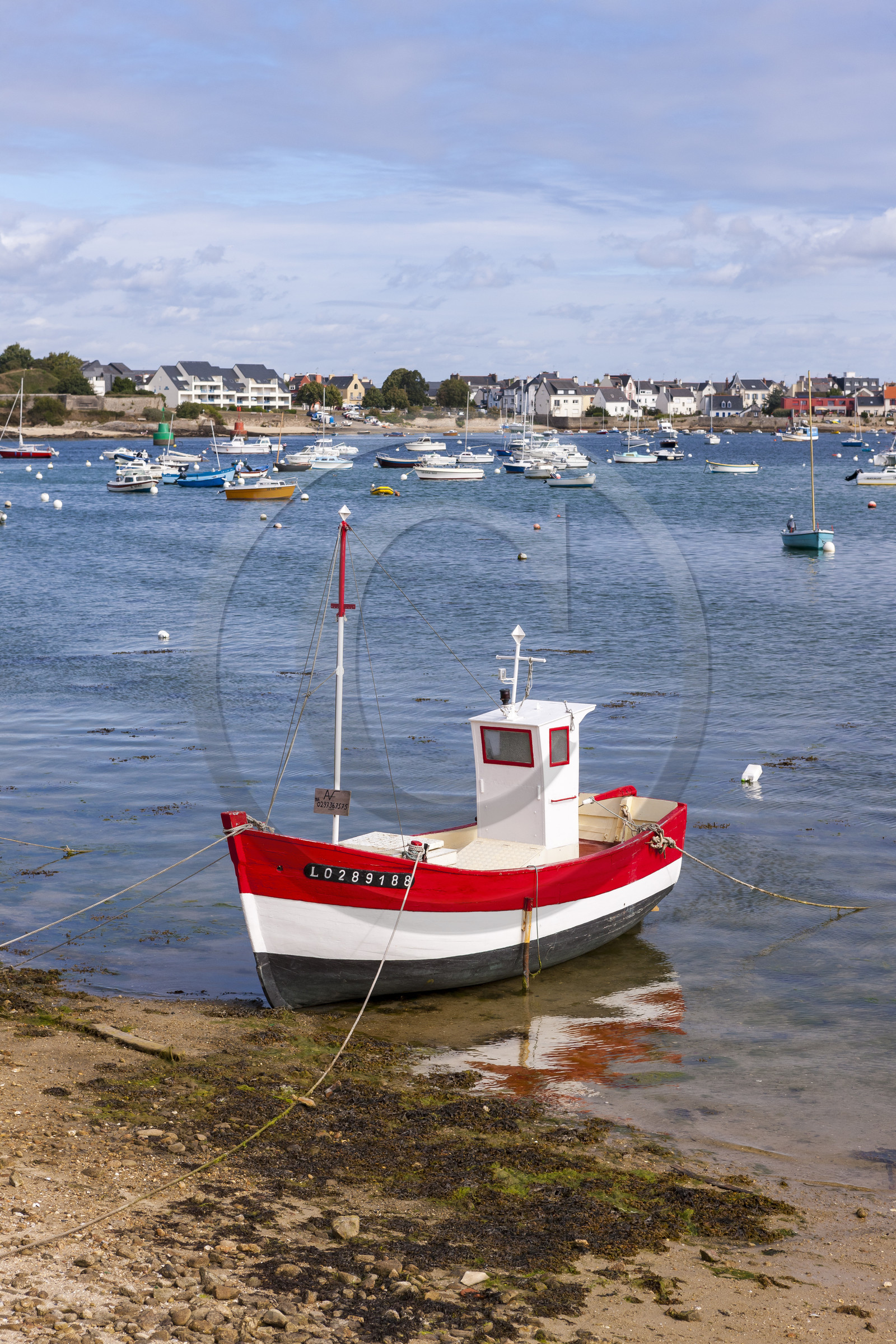 Le port de Gavres