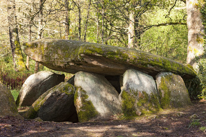 The dolmen of the Lodge with the wolf in Trédion