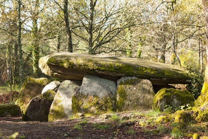 The dolmen of the Lodge with the wolf in Trédion