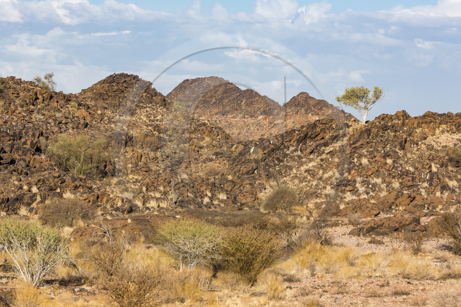 Le parc national des Chutes d'Augrabies. Cap du Nord, Afrique du Dud Le parc national des Chutes d'Augrabies. Cap du Nord, Afrique du Dud