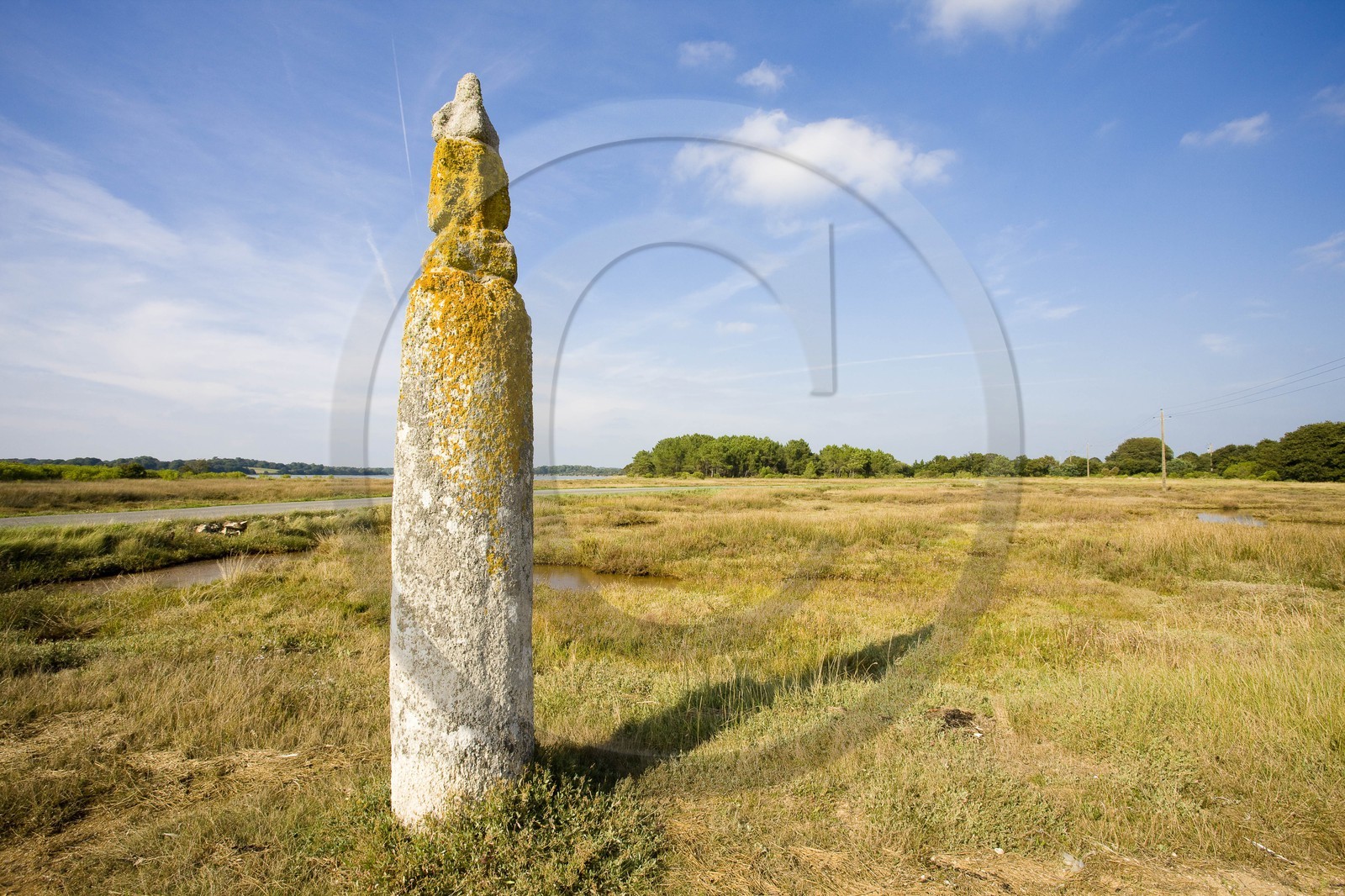 Quenouille Ste Brigitte. Locoal Mendon_Morbihan Quenouille Ste Brigitte. Locoal Mendon_Morbihan