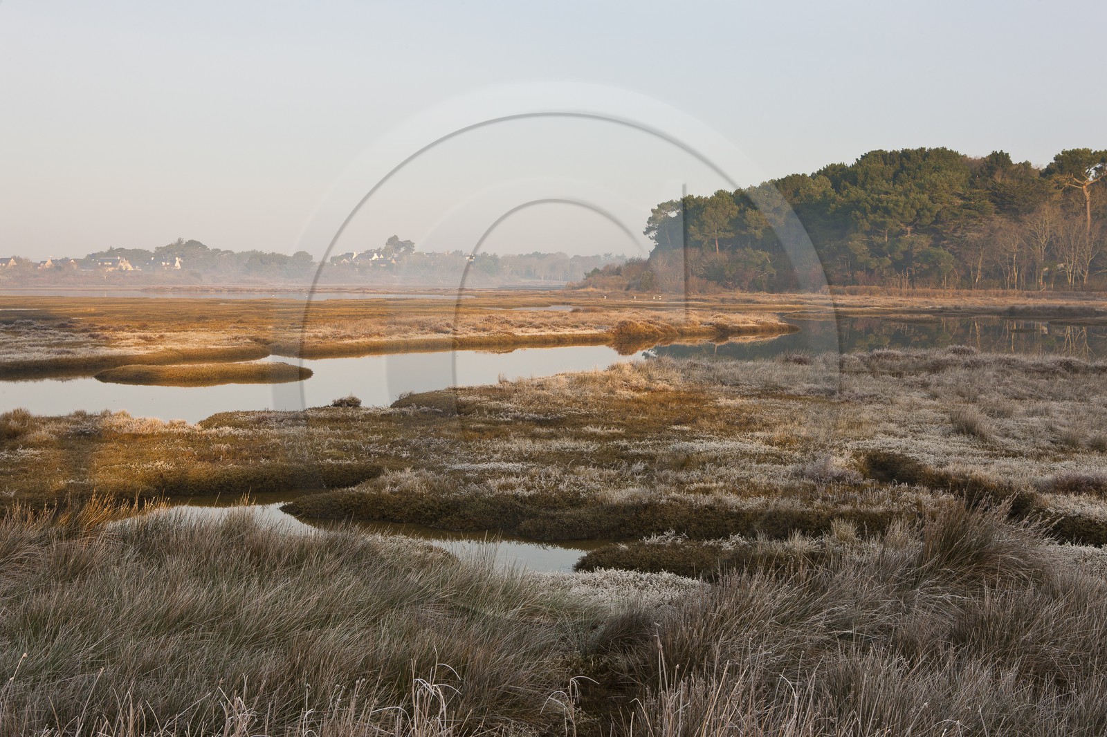 Anse de Kerdual _ La Trinité sur mer