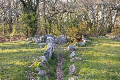 Le site mégalithiques de Mané Roulad à Ploemel