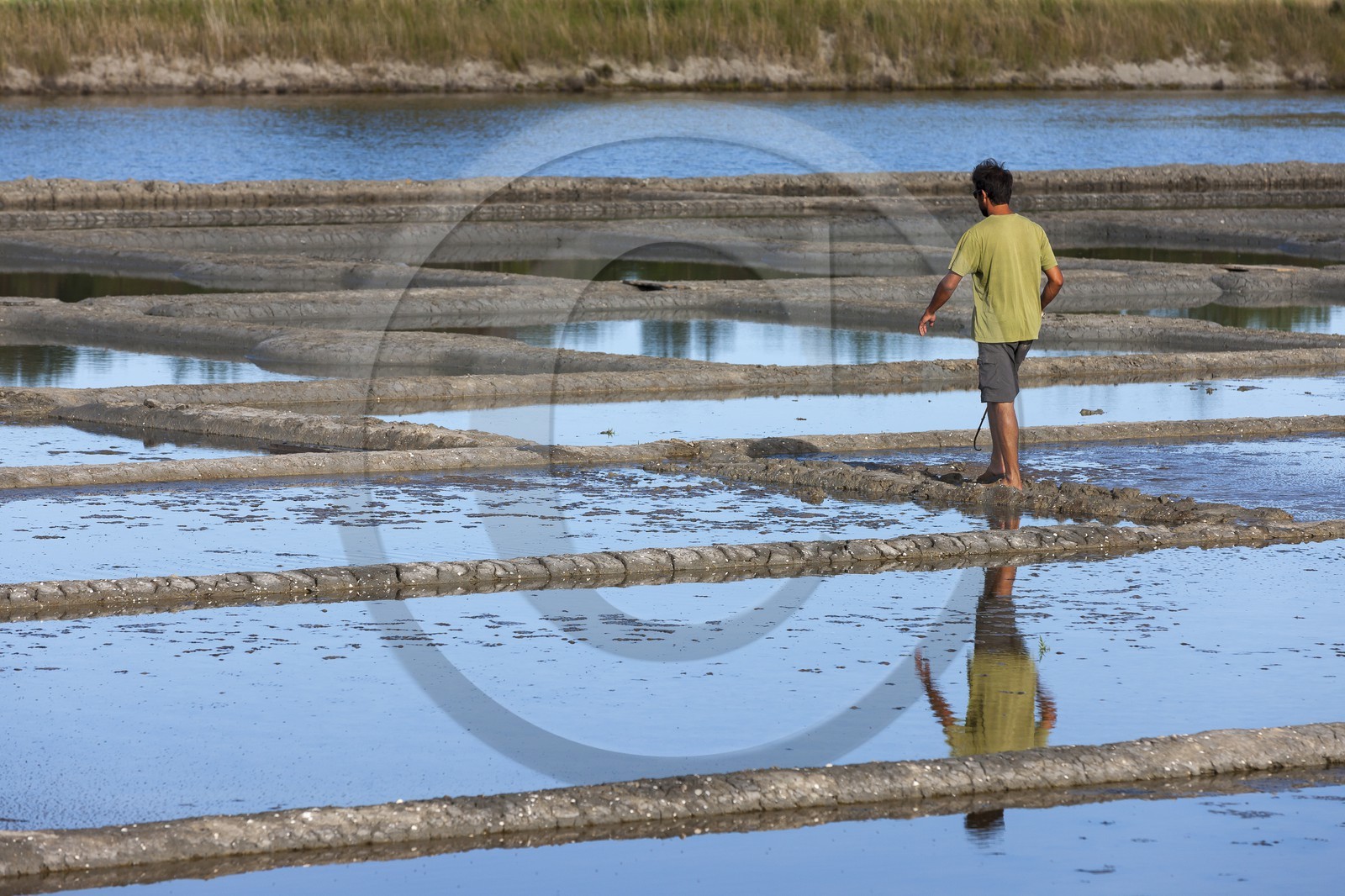 Les marais salant du site de Kervillen. La Trinite sur mer