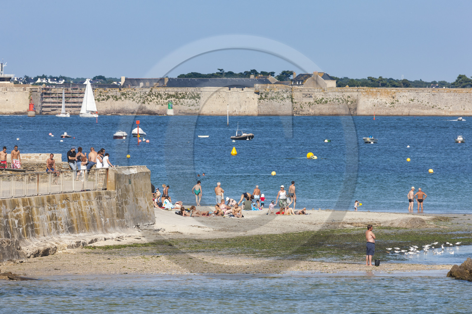 Beach of Locqueltas - Larmor-Plage