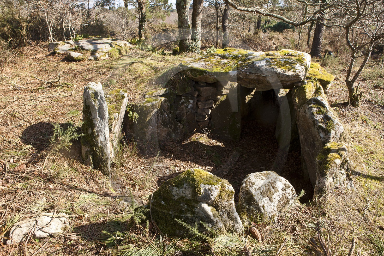 Dolmen de kervilor mane bras. La Trinite su Mer. Dolmen de kervilor mane bras. La Trinite su Mer.