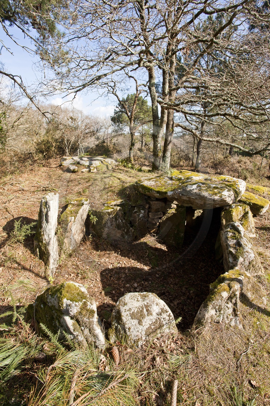 Dolmen de kervilor mane bras. La Trinite su Mer.
