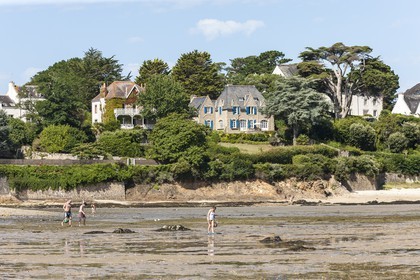 La plage du port _ la Trinite sur Mer
