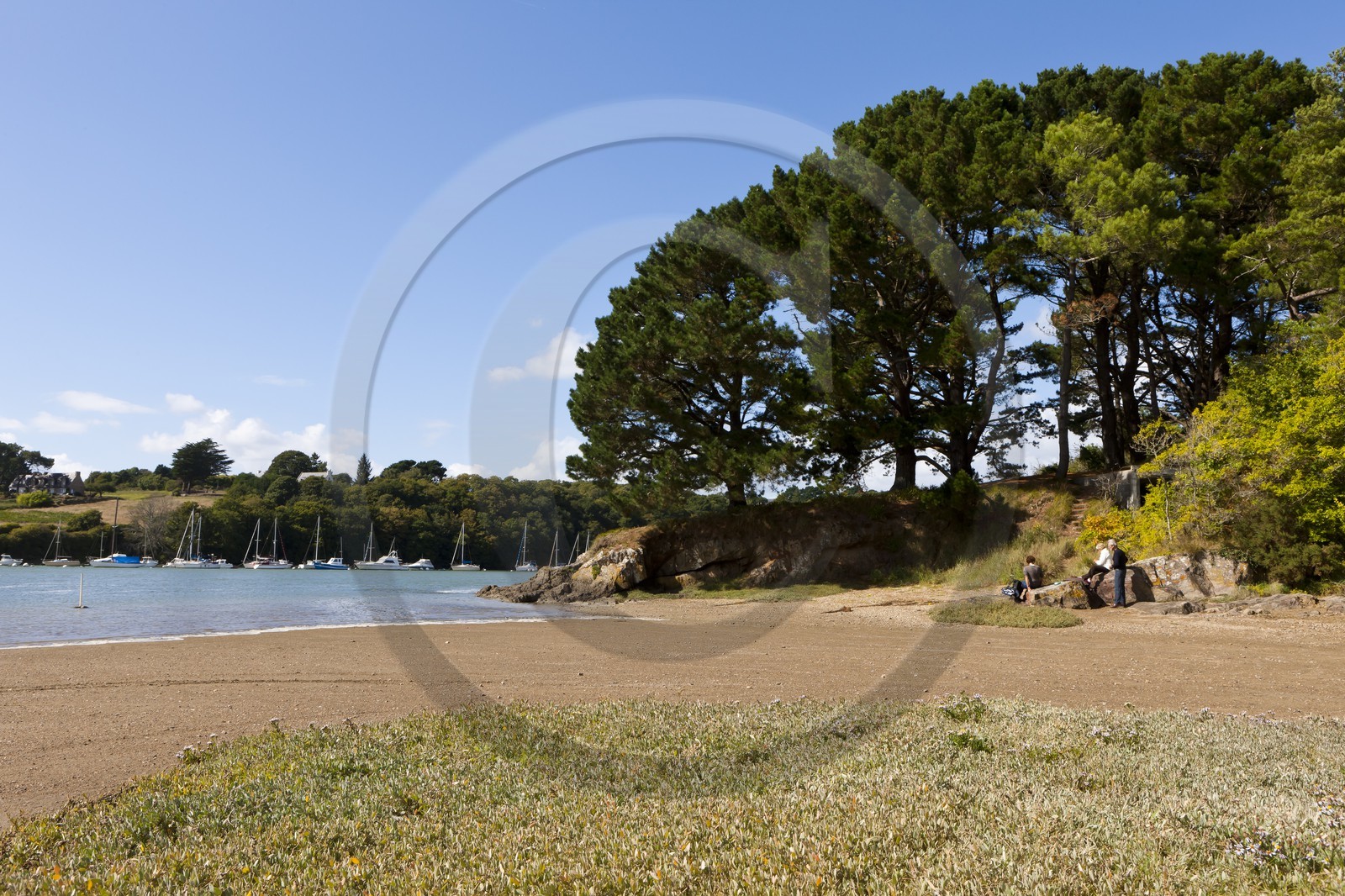 Sentier pedestre en bordure de la Laita_Guidel Sentier pedestre en bordure de la Laita_Guidel