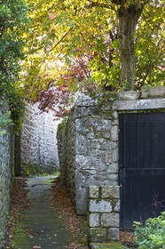 le bourg de la Trinite sur Mer
