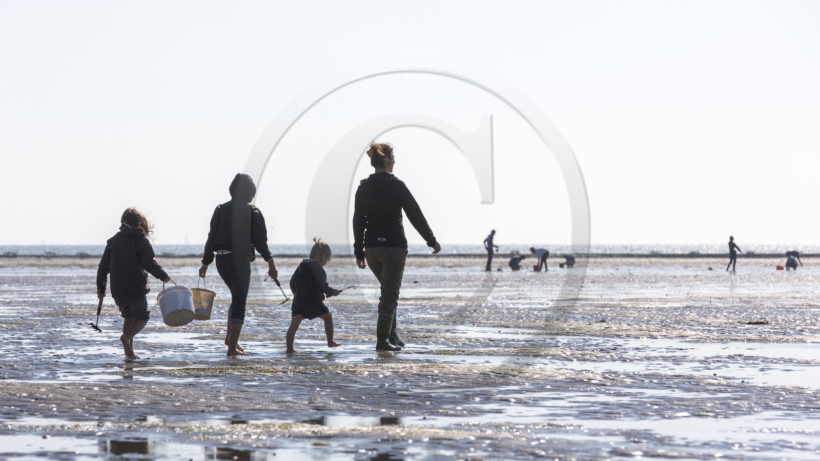 Pêche à pied_Plouharnel Pêche à pied_Plouharnel