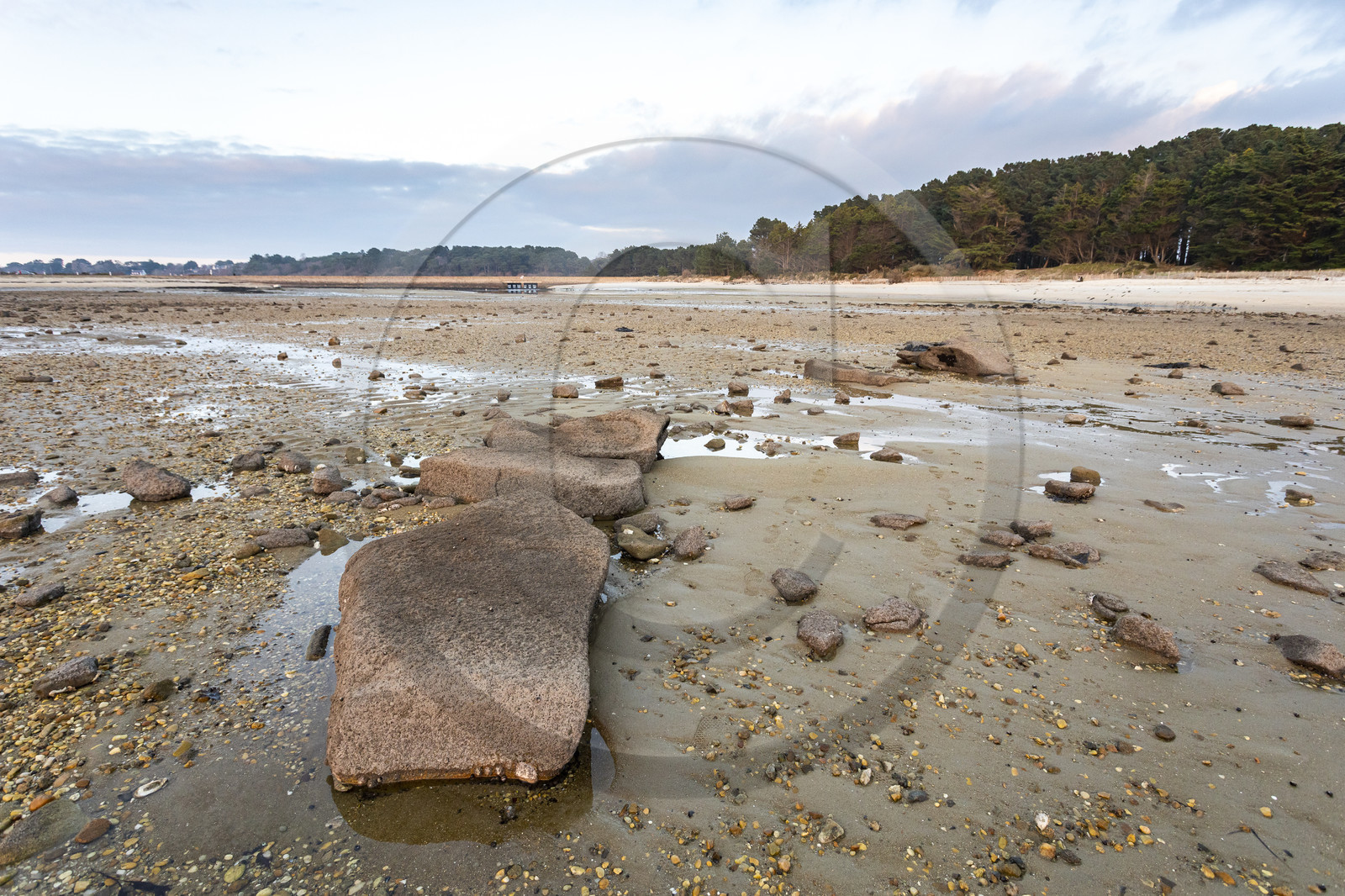 Alignments Kerdual in La Trinité sur Mer