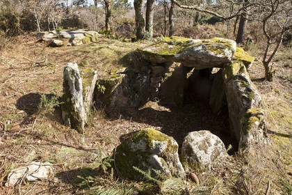 Dolmen de kervilor mane bras. La Trinite su Mer.