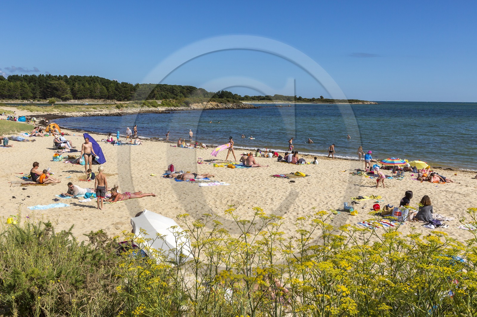 La plage du Men-du _ La Trinite sur mer La plage du Men-du _ La Trinite sur mer