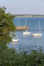 Le port du chatelet à St Jacut de la Mer