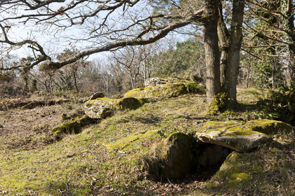 Dolmen de kervilor mane bras. La Trinite su Mer.
