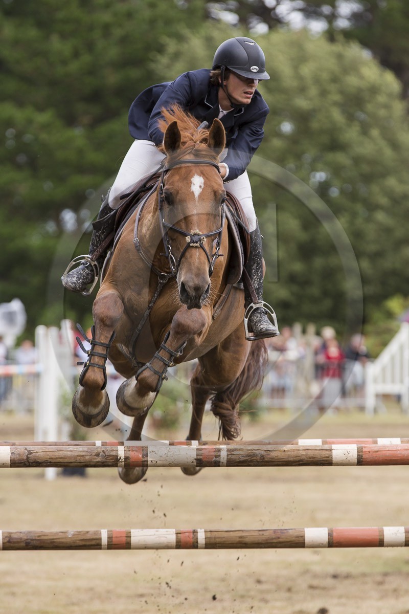 concours equestre _ la Trinite sur Mer ( 56 ) concours equestre _ la Trinite sur Mer ( 56 )