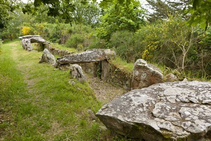 SITE ARCHEOLOGIQUE DE MANE ROULARDE _ LA TRINITE SUR MER