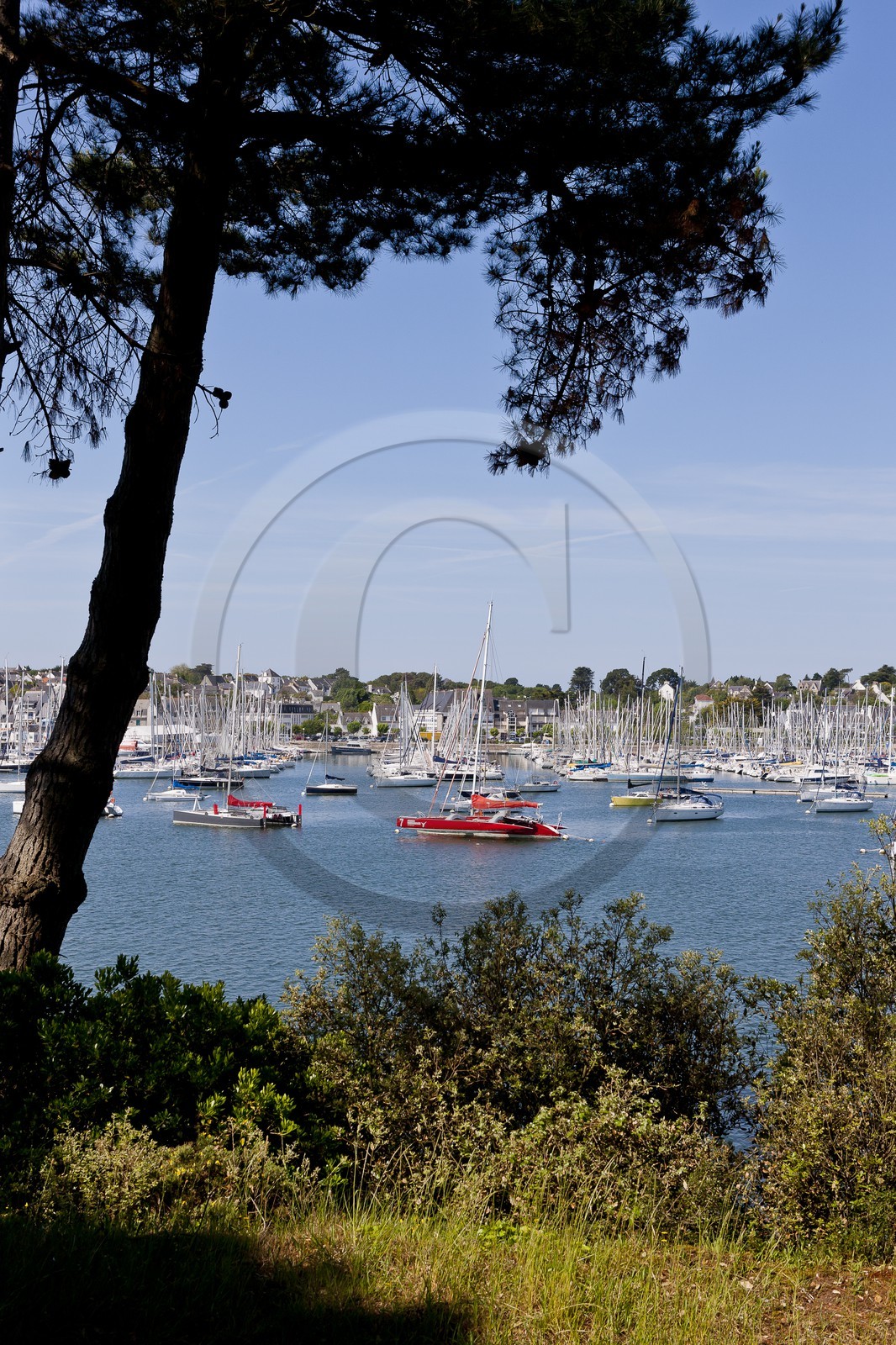 Le port de la Trinite sur mer