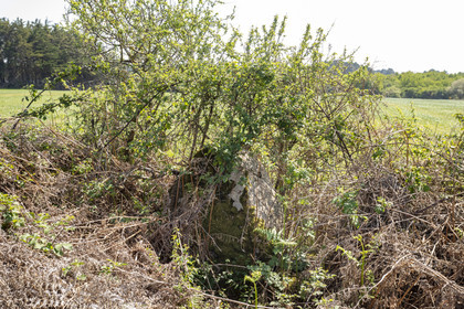 Allée couverte du Net _ Saint-Gildas-de-Rhuys