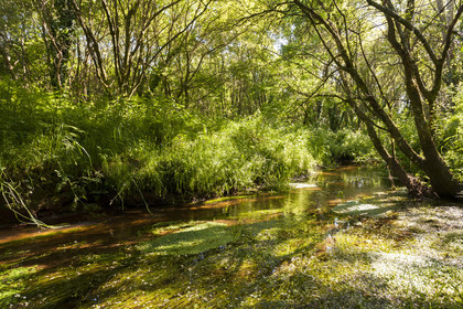 The creek Rion in the town of Brandérion