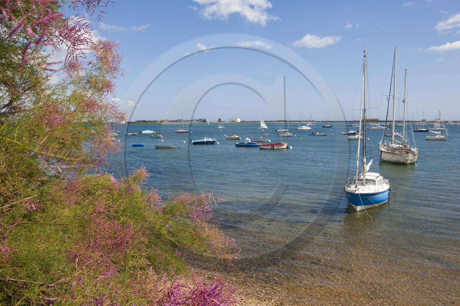 Port de Locmalo _ Port-Louis Port de Locmalo _ Port-Louis