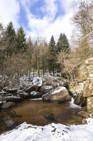 The forest of Huelgoat