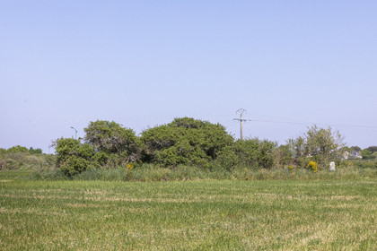 Allée couverte du Net _ Saint-Gildas-de-Rhuys