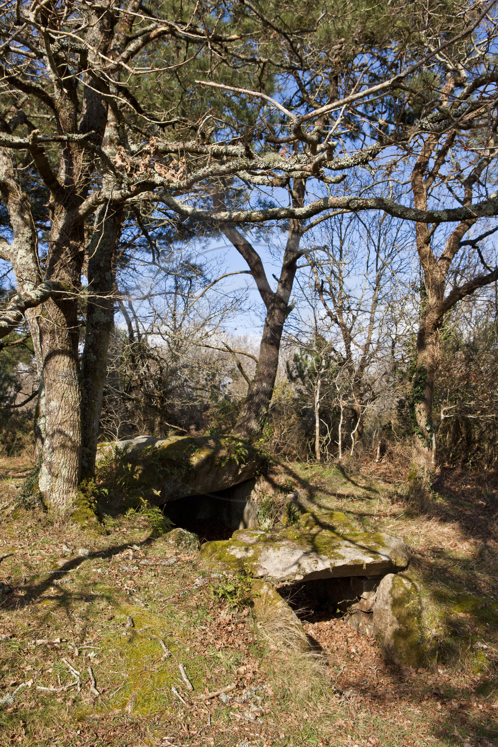 Dolmen de kervilor mane bras. La Trinite su Mer.