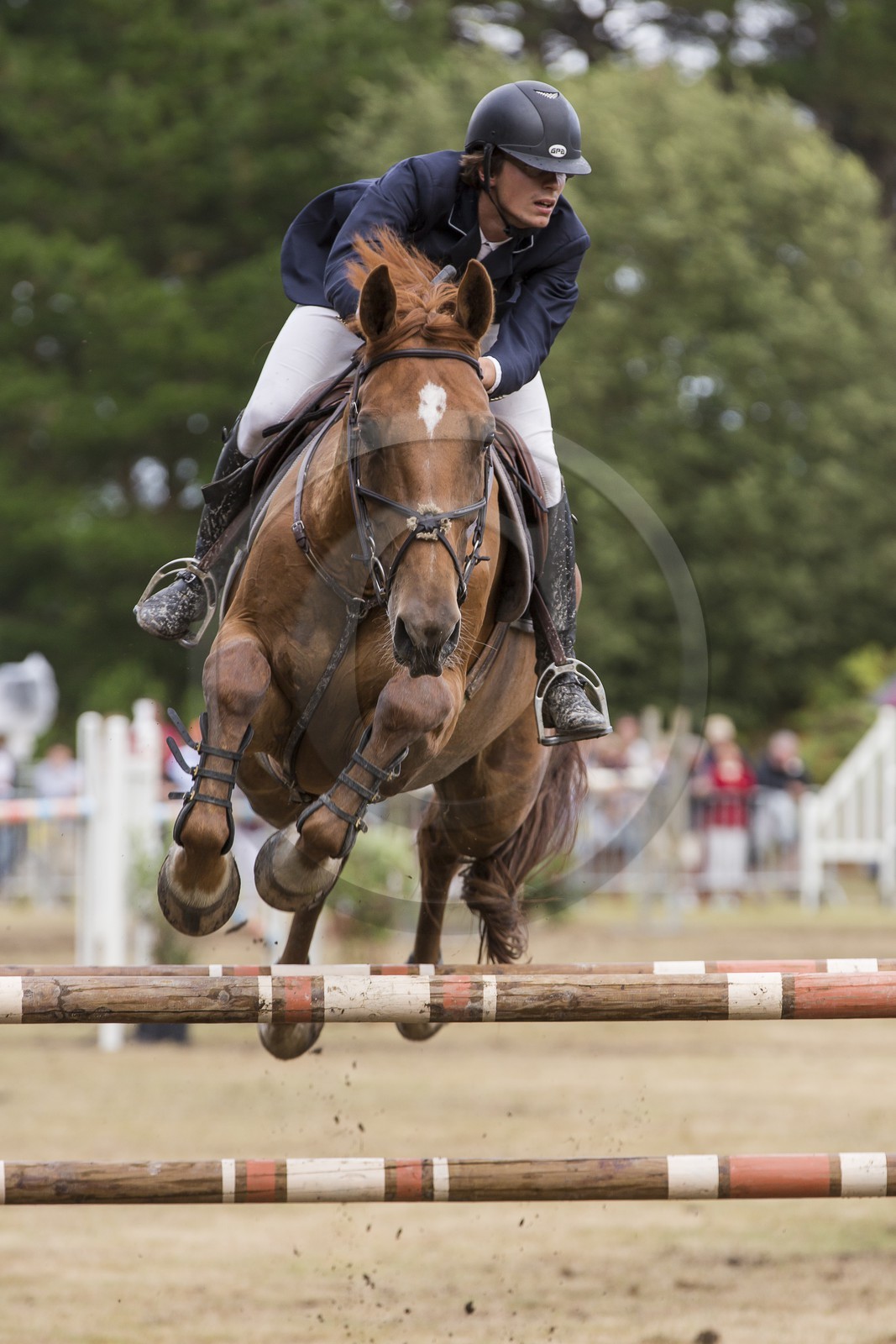 concours equestre _ la Trinite sur Mer ( 56 ) concours equestre _ la Trinite sur Mer ( 56 )